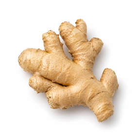 Ginger